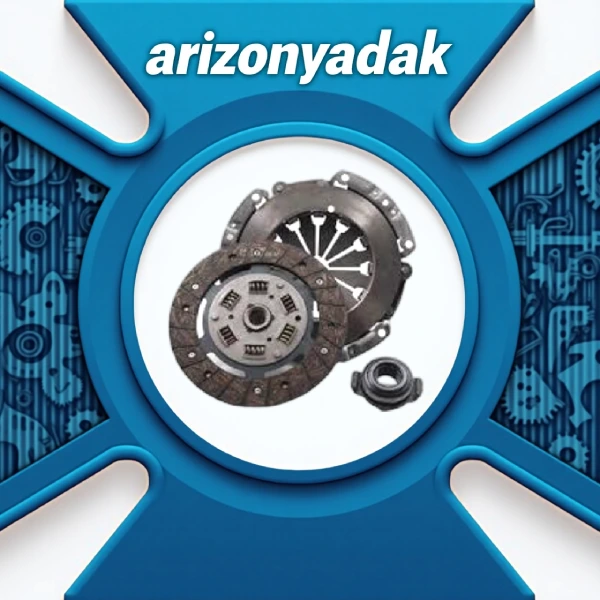 دیسک و صفحه 206 عظام